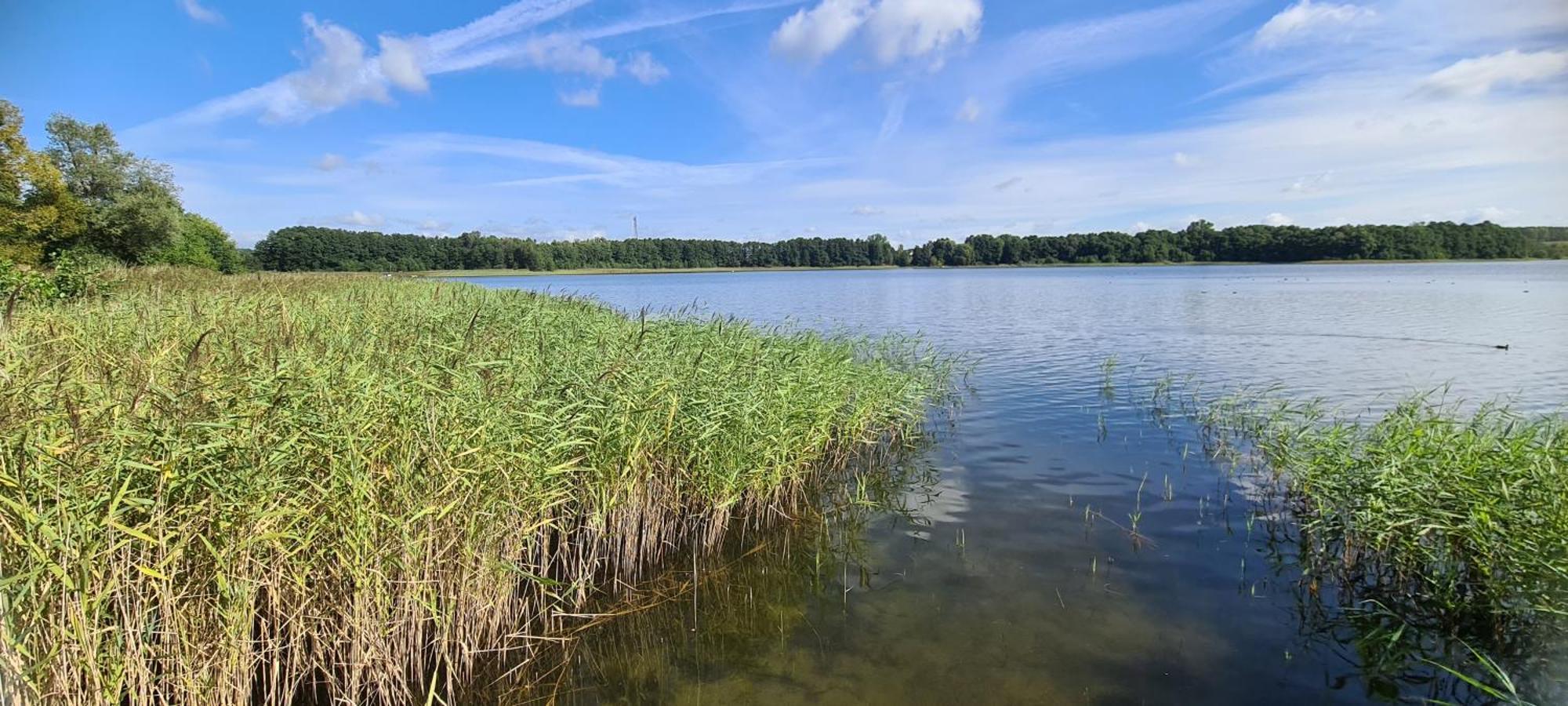 Ferienhof Am Kaebelicksee Kratzeburg Esterno foto